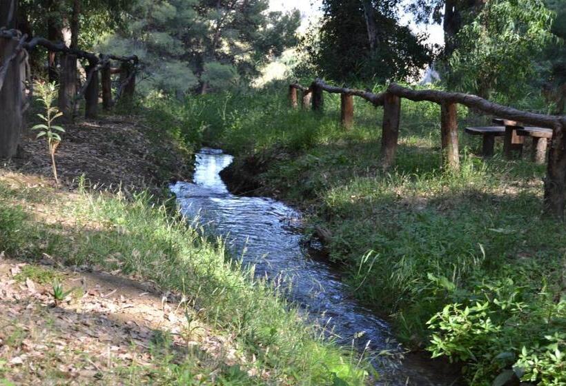 בית מלון כפרי Central