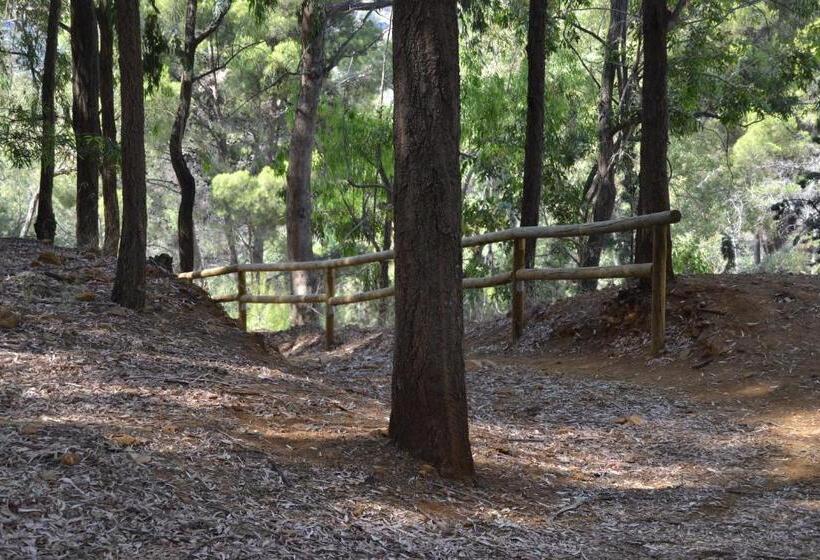 בית מלון כפרי Central