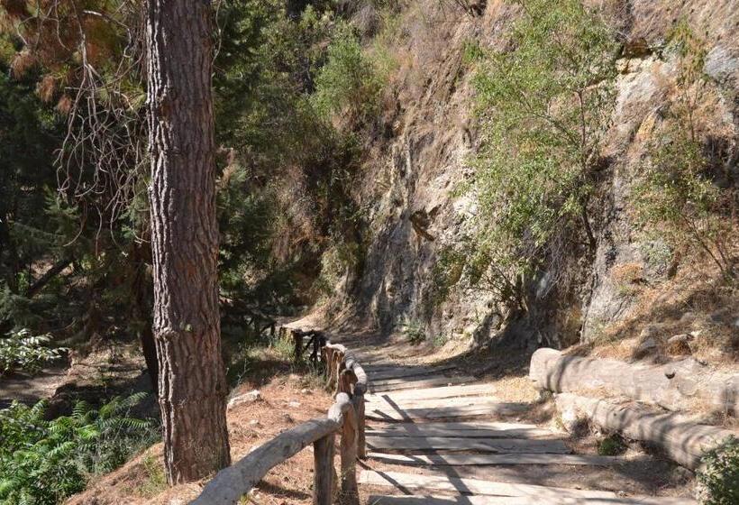 בית מלון כפרי Central