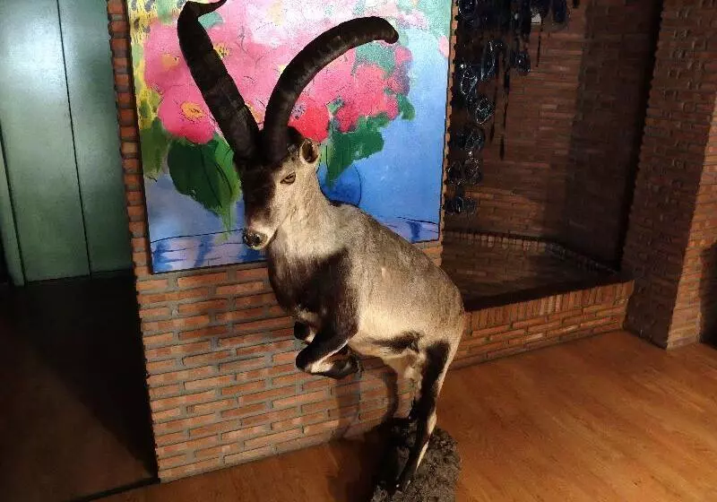 Отель El Guerra