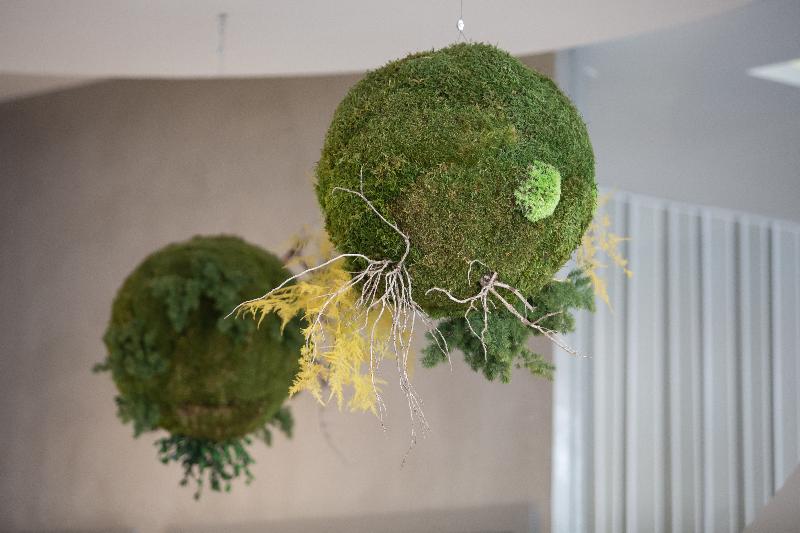 Hotel Monte Puertatierra