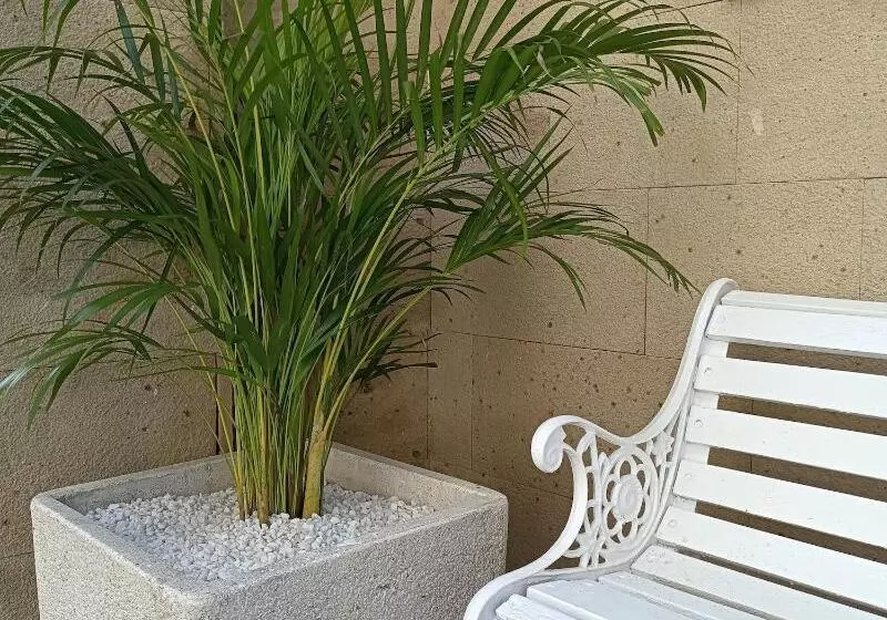 호텔 Posada Del Mar