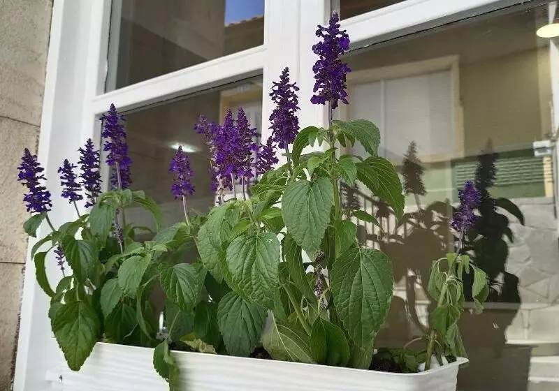 호텔 Posada Del Mar