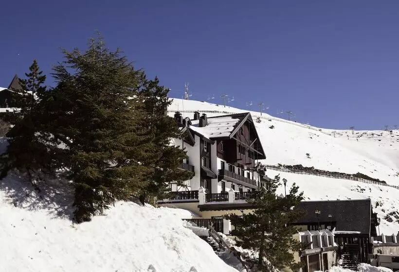 فندق Vincci Selección Rumaykiyya