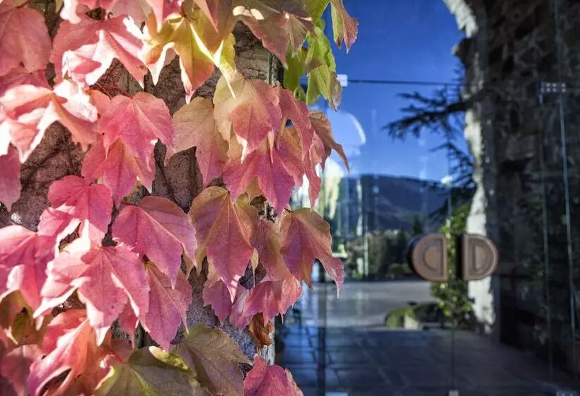 酒店 & Spa El Castell De Ciutat