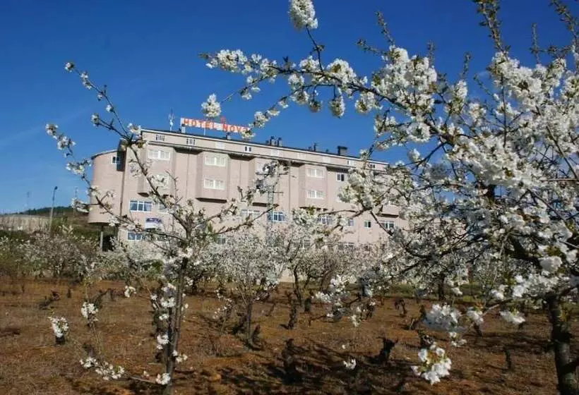 Hotel Novo