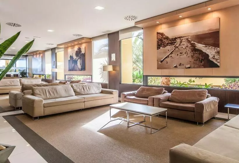 ホテル Bluesea Gran Cervantes