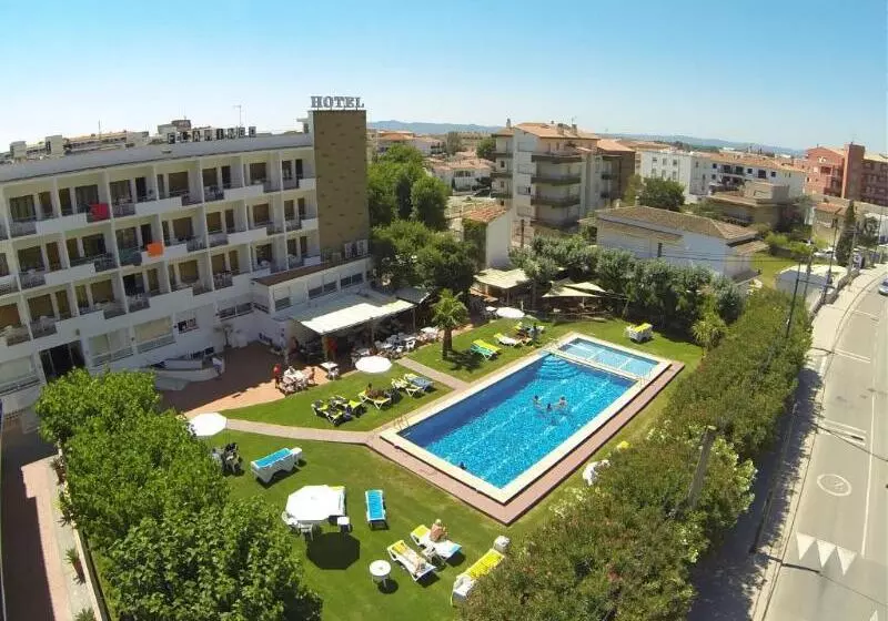 호텔 Checkin Flamingo