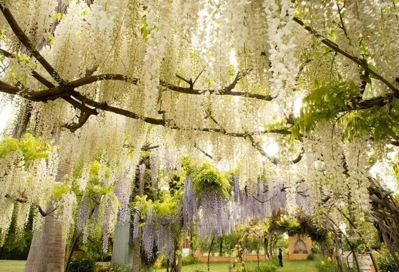 酒店 La Posada Del Moro