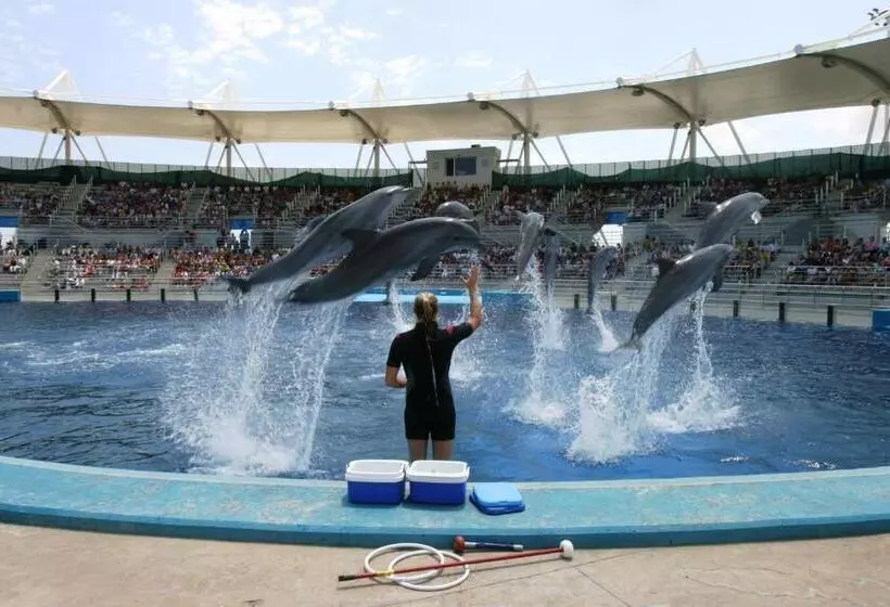 فندق Medium Valencia