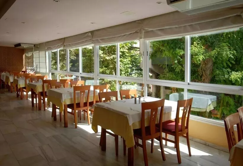 فندق Monarque El Rodeo