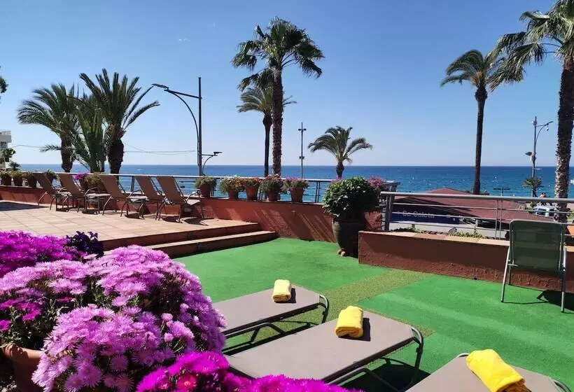 هتل Rosamar & Spa 4s