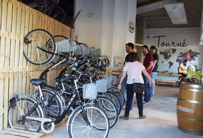 פונדק Casual Gurea