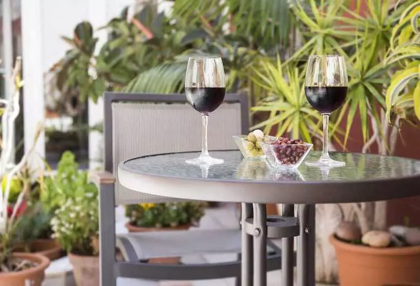 בית מלון כפרי Casbah