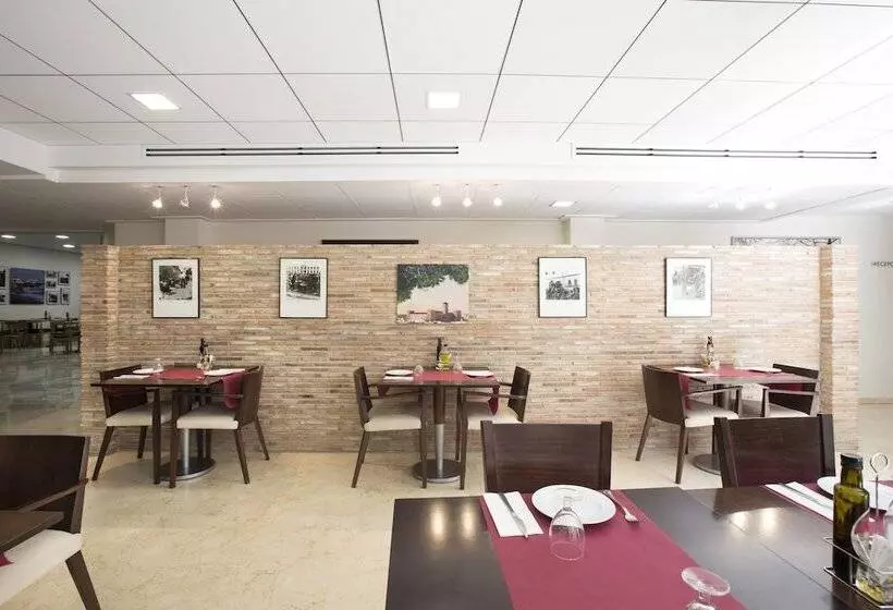 בית מלון כפרי Casbah