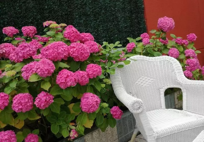 簡易ホテル Pineda Playa