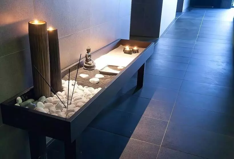 Отель Spa Sinagoga