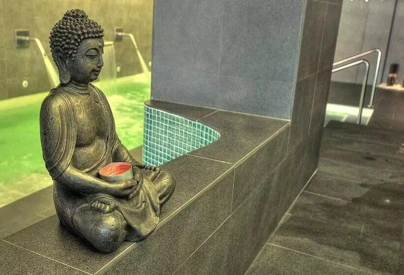 Отель Spa Sinagoga