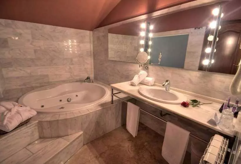 Отель Spa Sinagoga