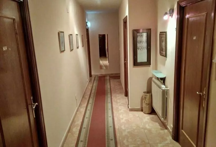 فندق Hostal Mayo