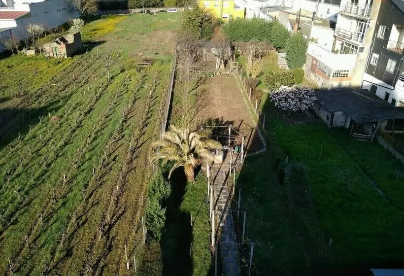 فندق Hostal Mayo