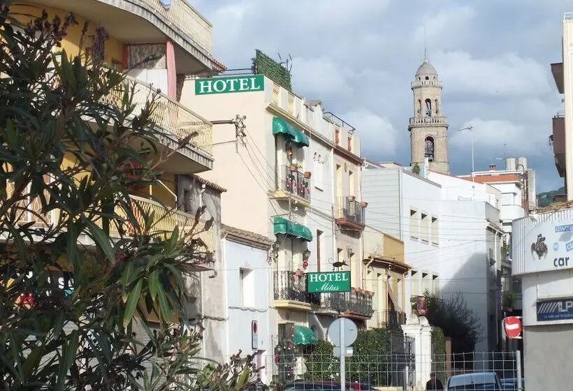 Hôtel Mitus