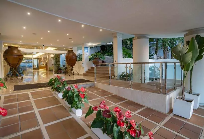 ホテル Ms Aguamarina Suites