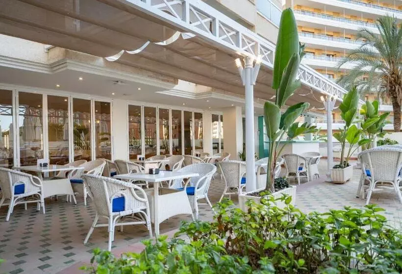 ホテル Ms Aguamarina Suites