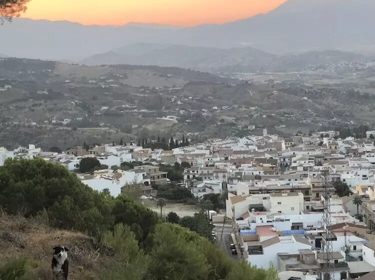 La Palmera