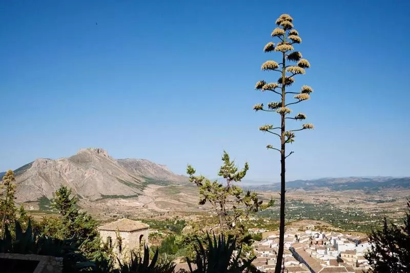 בית מלון כפרי Casa De Los Arcos
