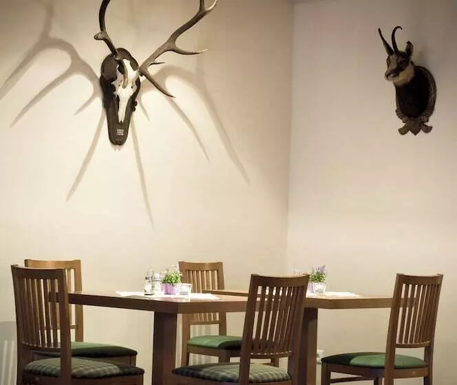 Aktivhotel Weisser Hirsch