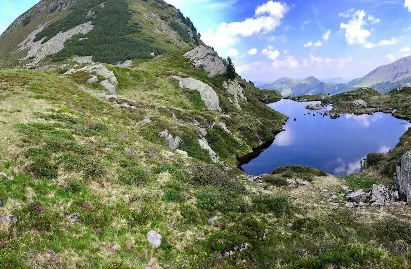 ホテル Alpbacherhof Mountain & Spa Resort