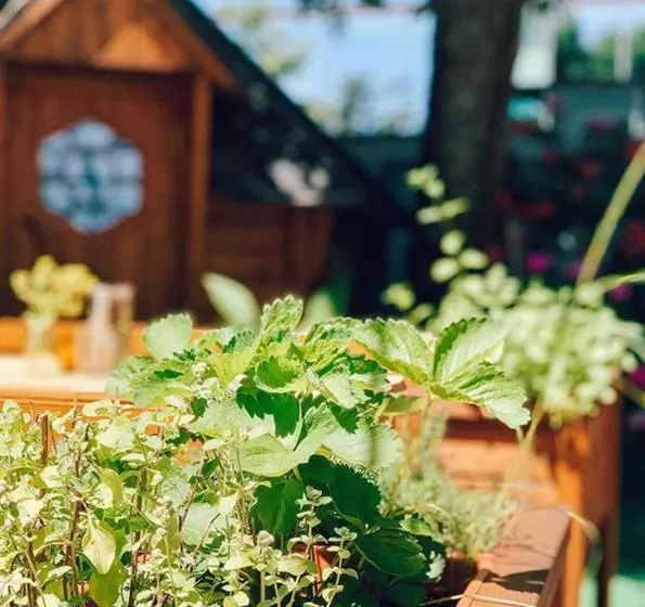 酒店 Bayrischer Hof