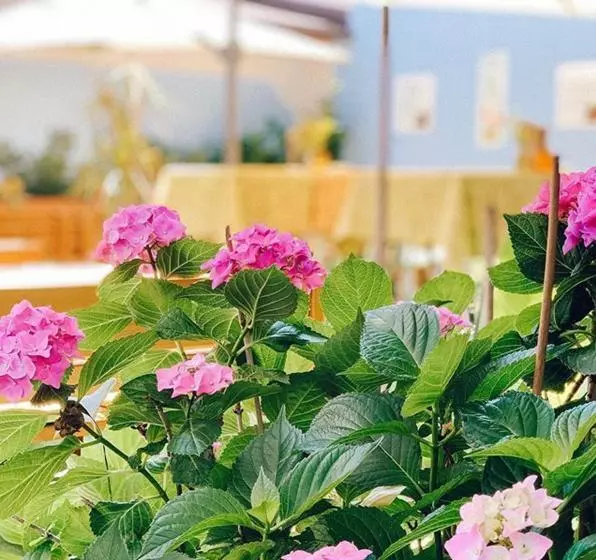 酒店 Bayrischer Hof