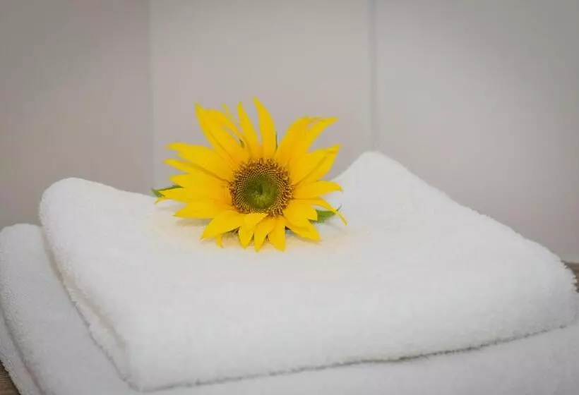 酒店 Bayrischer Hof