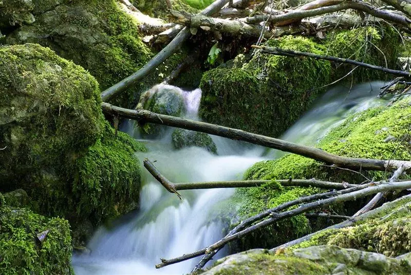 בית מלון כפרי Warmbaderhof