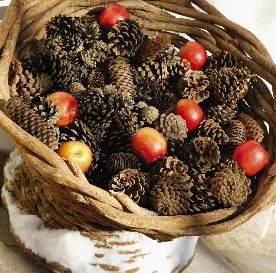 Sporthotel Schönruh