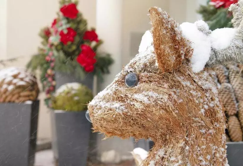 Sporthotel Schönruh