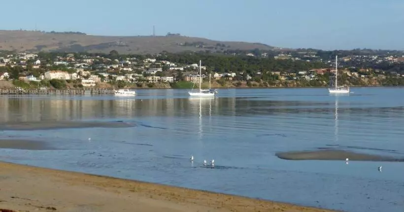 Hilton Beachfront Motel