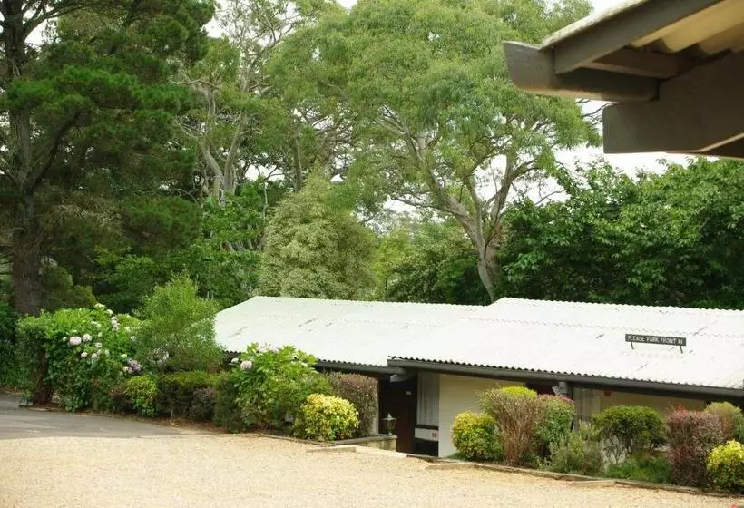 Hotel Blackheath Motor Inn