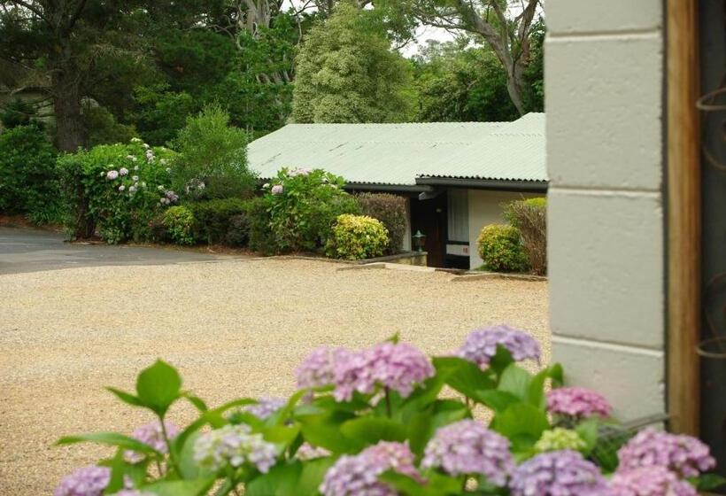 فندق Blackheath Motor Inn