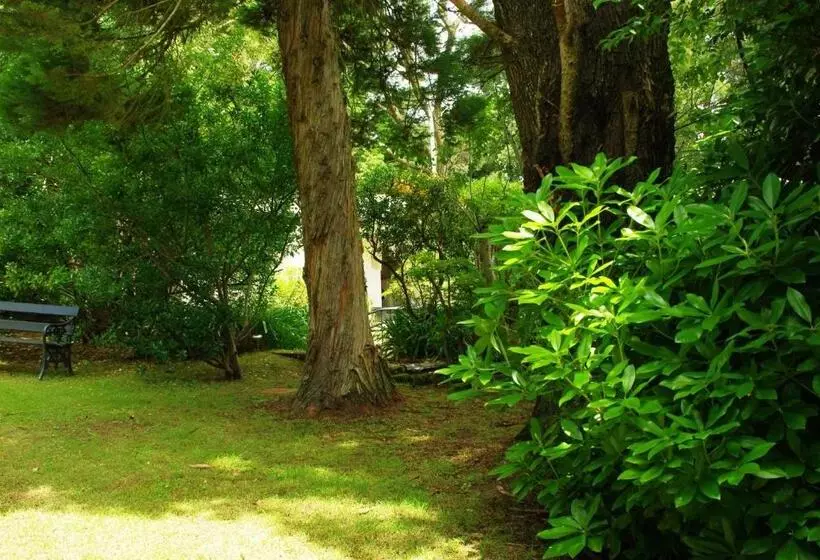 Hotel Blackheath Motor Inn