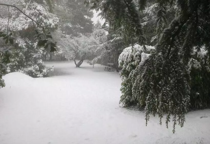 Hotel Blackheath Motor Inn