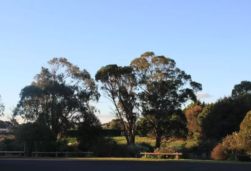 Mount Gambier International Motel