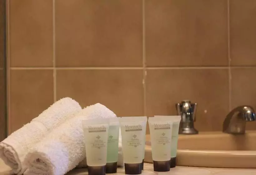 Mount Gambier International Motel