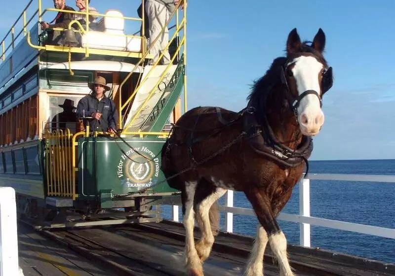 酒店 Panco Victor Harbor