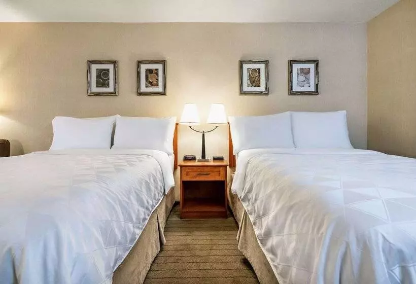 Allure Hotel & Conference Centre, Ascend Hotel Collection