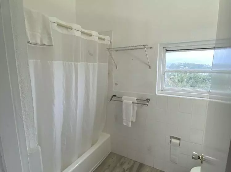 酒店 Edgehill Manor Guest House