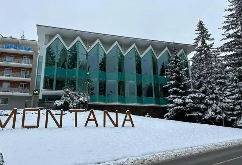 Interhotel Montana