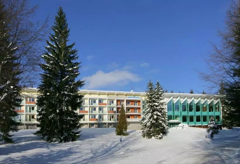 Interhotel Montana